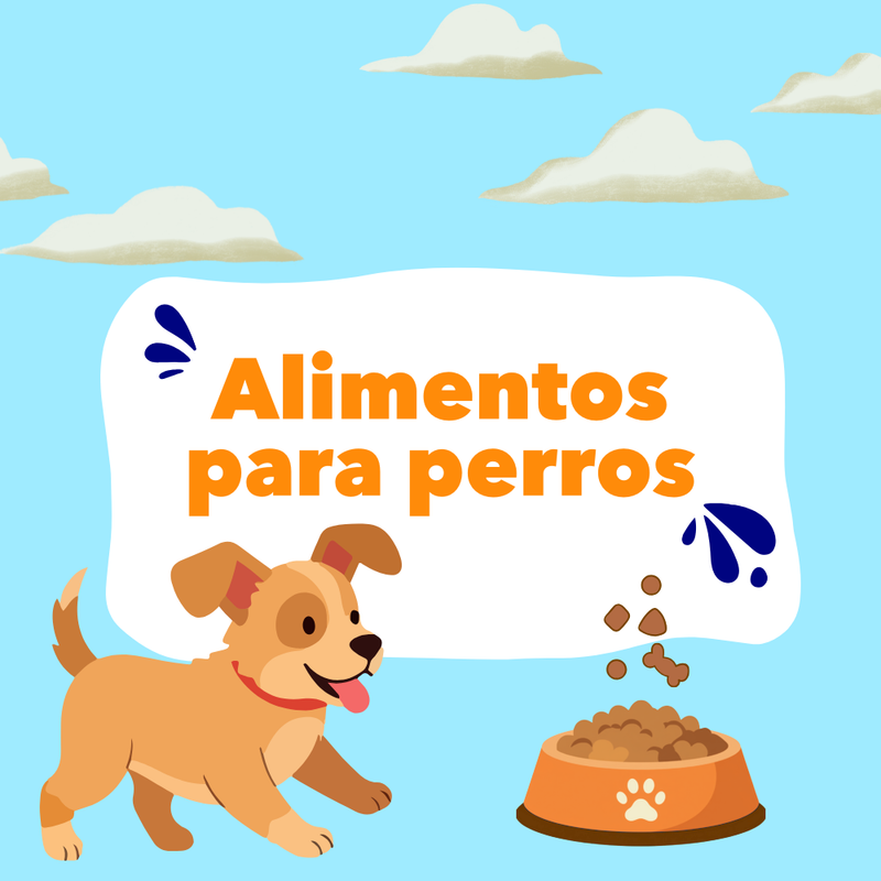 Alimentos para perros