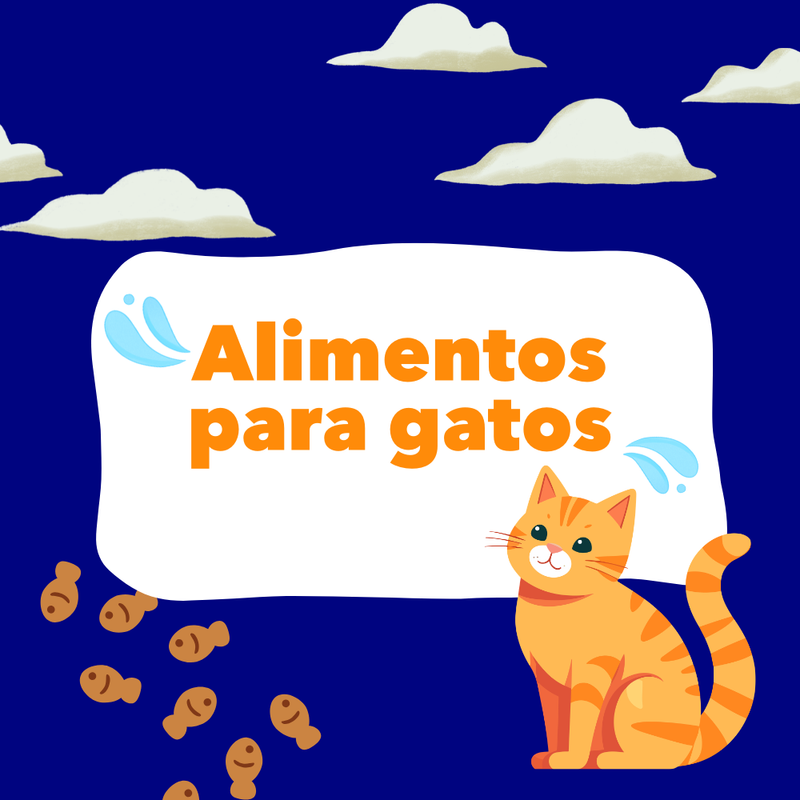 Alimentos para gatos